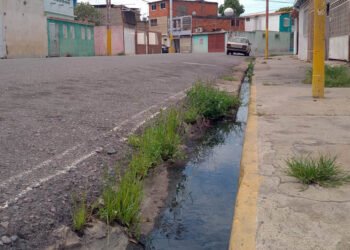 Persiste el desborde de cloacas en calles y viviendas de Los Yaques