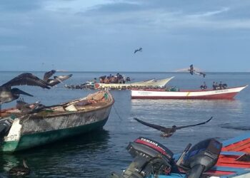 Pescadores de Los Cocos solicitan apoyo para adquirir el combustible necesario para trabajar