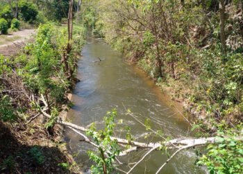 Septuagenario murió ahogado tras caer en el canal de Caratal