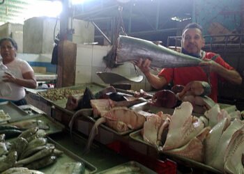Pese a altos precios de ingredientes, anzoatiguenses se las ingenian para preparar cuajao