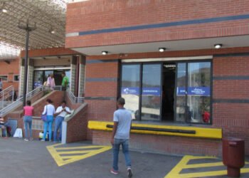 Un hombre murió luego de caer de una mata de mango en Pariaguán
