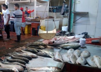 El pescado incrementó su precio y dejó de ser la opción más accesible para los almuerzos