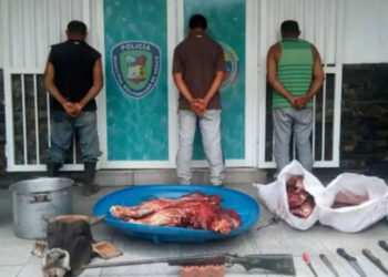 Polianaco aprehendió a tres individuos por abigeato