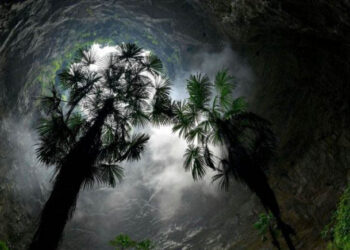 Científicos hallaron un "mundo subterráneo" en China que podría tener especies no vistas