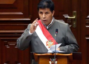 Castillo pide evaluar situación de "delincuentes venezolanos" en Perú