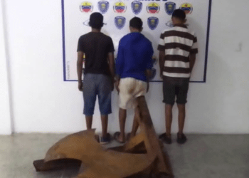 Polianzoátegui detuvo a tres jóvenes por robar chatarra en Anaco