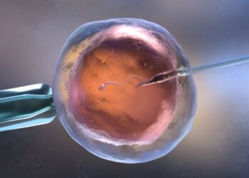Bebés probeta son milagros de la fertilidad asistida