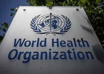 La OMS modificará el nombre de la viruela del mono para evitar alusiones racistas