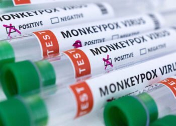 La OMS eleva a 643 los casos de viruela del mono