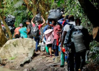 Afirman que más de 70 venezolanos están desaparecidos en la selva del Darién