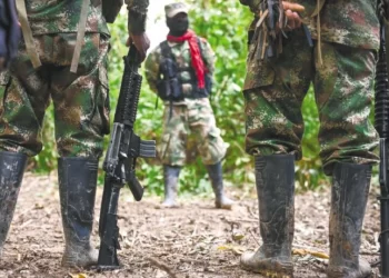 Colombia y Venezuela tendrán que desalojar a grupos armados en la frontera