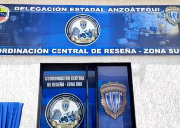 Desarticularon dos bandas dedicadas al hurto de material estratégico en la zona sur