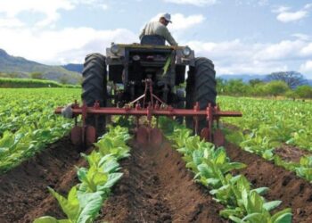 Gobierno de Maduro cedió un millón de hectáreas de tierra de cultivo a Irán