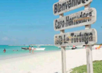 Zonas Económicas Especiales no aclaran situación de trabajadores