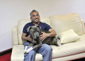César Millán regresa a la televisión con "Mejor humano, mejor perro"