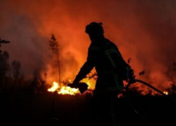 Casi 60 mil hectáreas arrasadas en 10 días por los incendios forestales en España