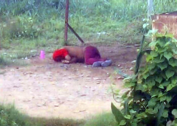 Hallaron cadáver en El Viñedo