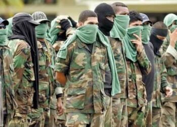 Paramilitares anuncian cese al fuego por inicio de "era distinta en Colombia"