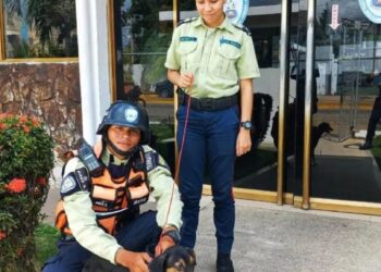 Poliurbaneja rescató a perro por maltrato animal