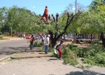 Alcaldía de Barcelona afina detalles para iniciar novena Virgen del Valle con recorrido por comunas (+Fotos)