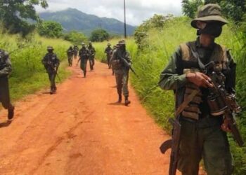 Desmantelan Gedo "Chicho Barbilla" en operación militar-policial en Paria (+Fotos)