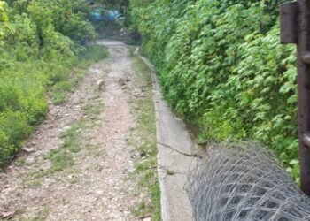 En Cajigal vialidad agrícola lleva 14 años sin recibir mantenimiento (+Fotos)