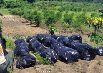 Efectivos de la GNB destruyeron dos campamentos Tancol en el municipio Freites