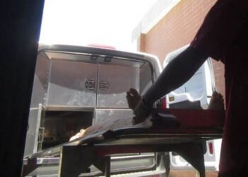 Encontraron cadáver en isla guanteña