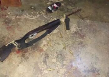 Polianzoátegui abatió a "alimento" en zona sur