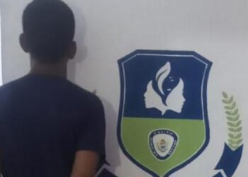 Polibolívar arrestó a sujeto que golpeó a su pareja en Barrio Cayaurima