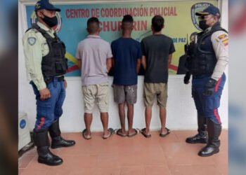 Arrestaron a tres individuos por hurto en El Paraíso