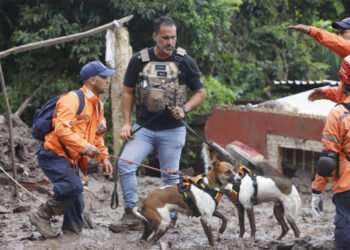 Alcalde Ferreira reporta que hallaron dos cadáveres más en el sector Valle Verde
