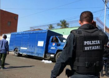 Polianzoátegui capturó en San Diego de Cabrutica a un individuo acusado de hurto