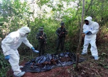 FAN localiza osamenta en fosa de Bolívar y destruye avioneta de los Tancol