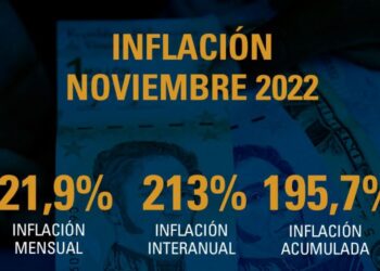Inflación de noviembre se ubicó en 29,1%