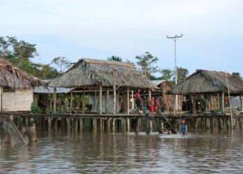 Gobierno nacional implementará plan para enseñar lenguas indígenas en etapa escolar