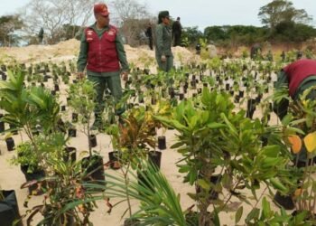 La FAN informa sobre "campaña de reforestación" en Canaima para combatir minería ilegal