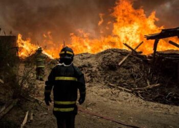 Portugal envió 144 efectivos para ayudar a combatir ola de incendios en Chile