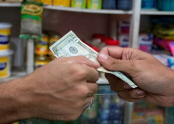 Economista: "Una persona necesita 100 dólares para por lo menos subsistir"