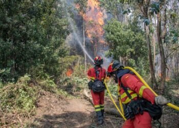 300 incendios siguen activos en Chile, con 425 mil hectáreas calcinadas