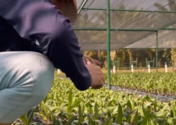 Grupo San Simón busca certificación internacional de sostenibilidad
