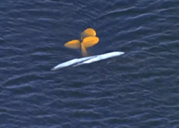 Dos muertos en un choque entre dos avionetas en Florida