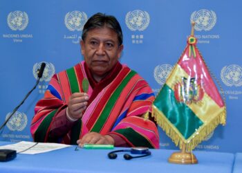 Bolivia buscará en la ONU acabar con la prohibición global de la hoja de coca