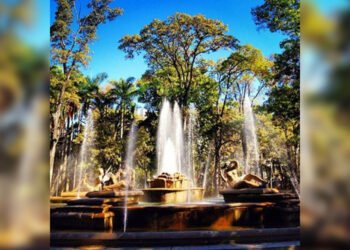 <strong>FisVen 2023 ofrecerá diversas actividades de salud en el Parque Los Caobos</strong>