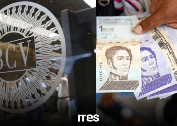 BCV diseña plan para contener el desplome del bolívar