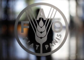 FAO aprueba Plan Estratégico de cooperación en diversas áreas con Venezuela