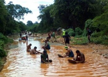 Senado brasileño dice que 19 mil mineros ilegales dejaron reserva Yanomami