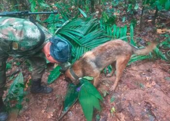 Colombia continúa labores para hallar a niños extraviados en la selva