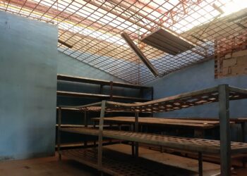 La preparación de alimentos: la cuenta pendiente en el comedor de la UDO