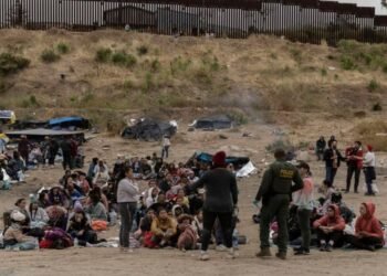 Caen 25% las detenciones de migrantes en Estados Unidos